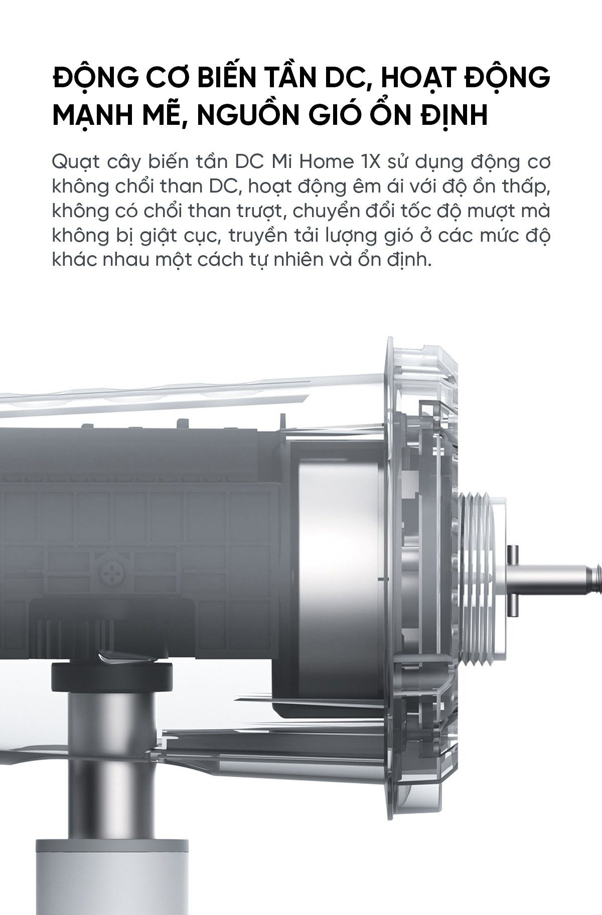 Quạt cây Xiaomi BPLDS01DM
