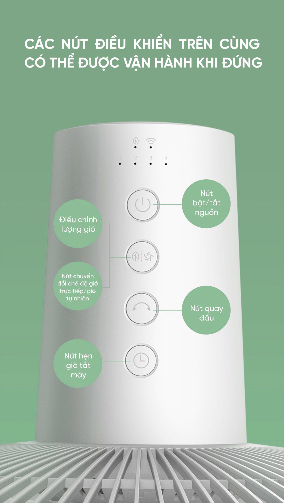 Quạt cây Xiaomi BPLDS01DM