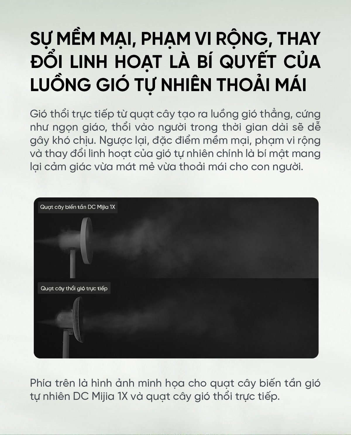 Quạt cây Xiaomi BPLDS01DM