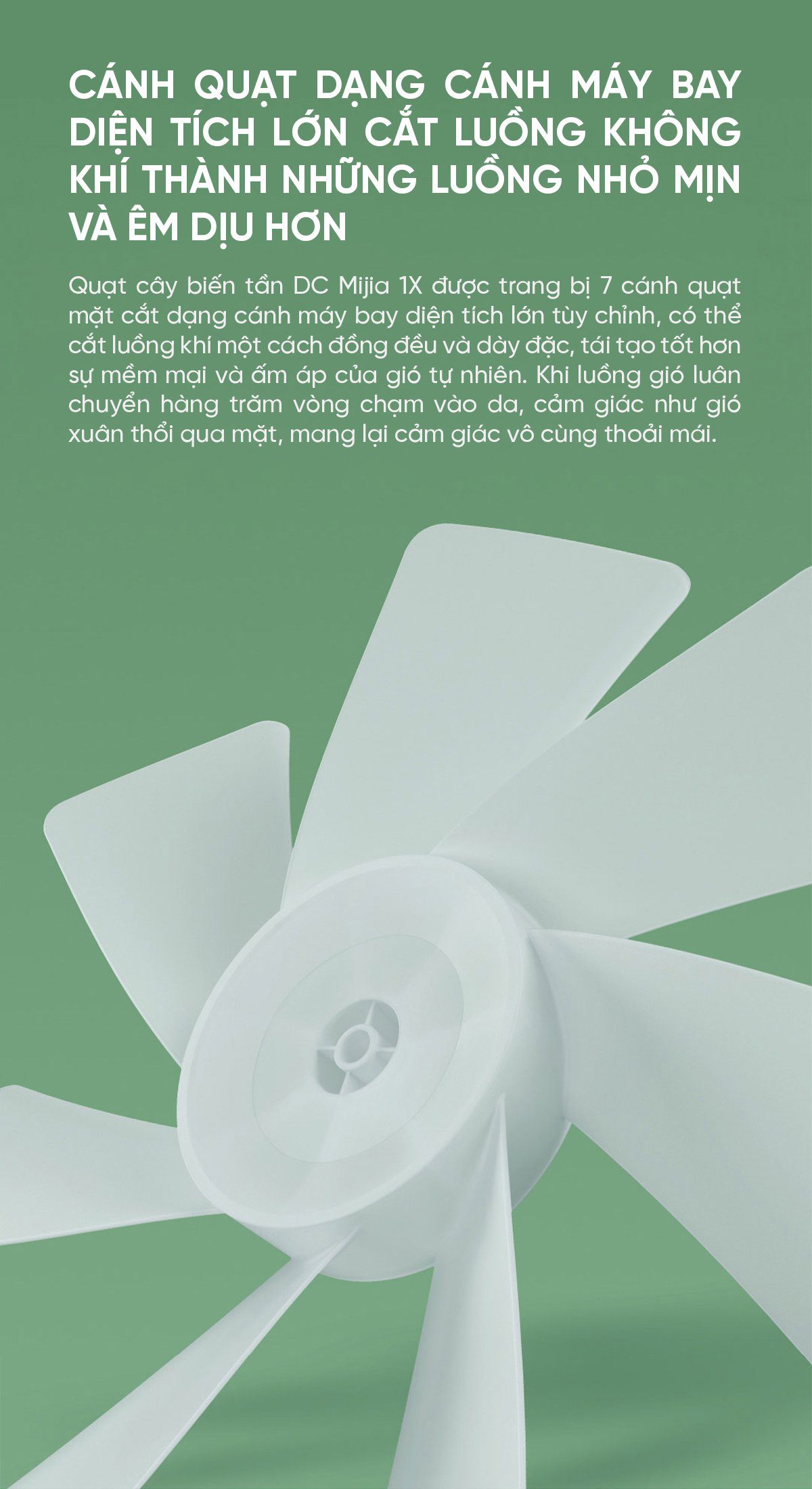 Quạt cây Xiaomi BPLDS01DM