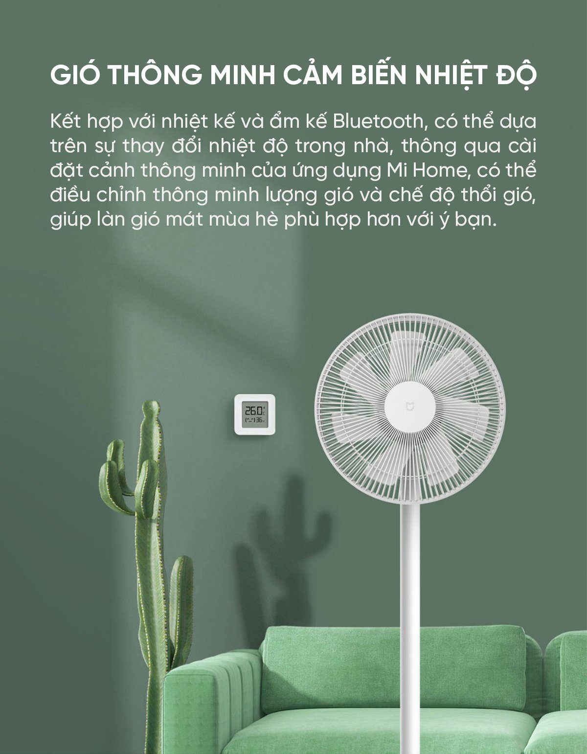 Quạt cây Xiaomi BPLDS01DM