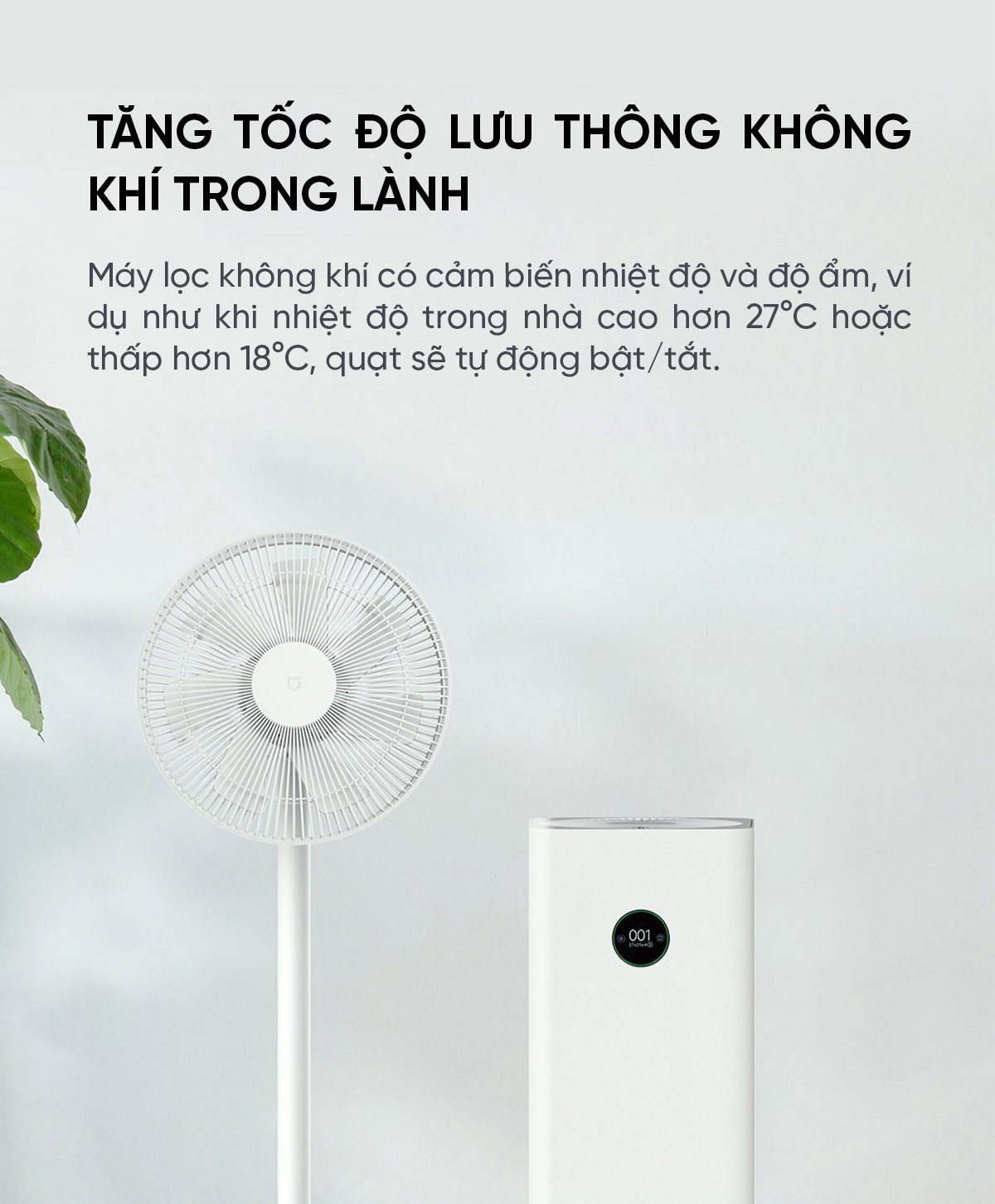 Quạt cây Xiaomi BPLDS01DM